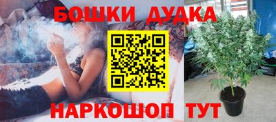 PSILOCYBIN Баксан