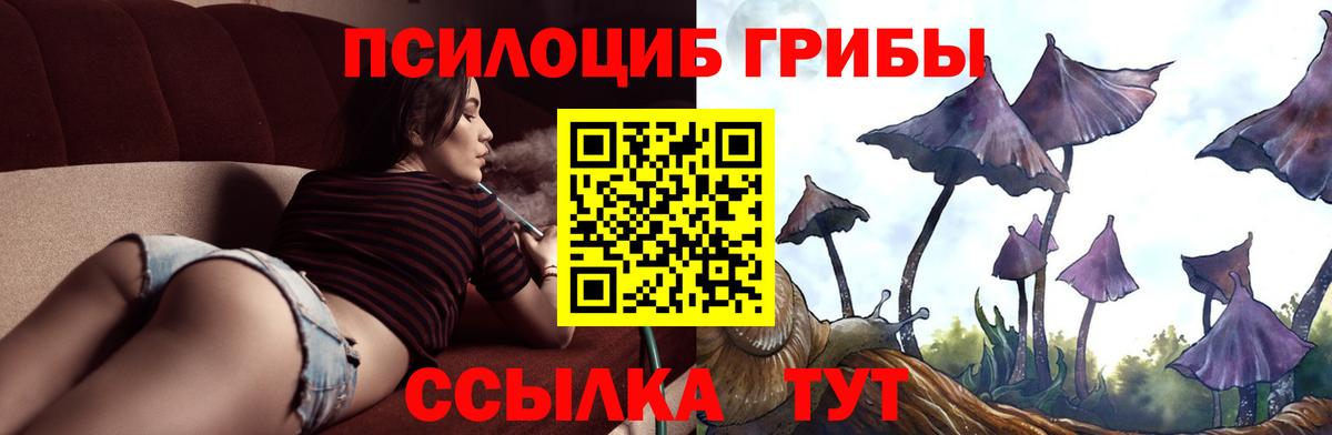 Заринск  Псилоцибиновые грибы Magic Shrooms  Вход с VPN 